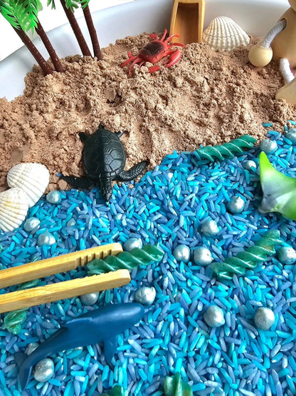 Beach Themed Sensory Play Kit