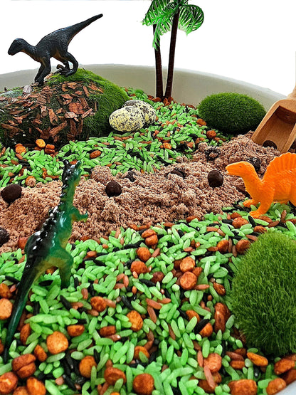 Dinosaur Themed Sensory Play Kit